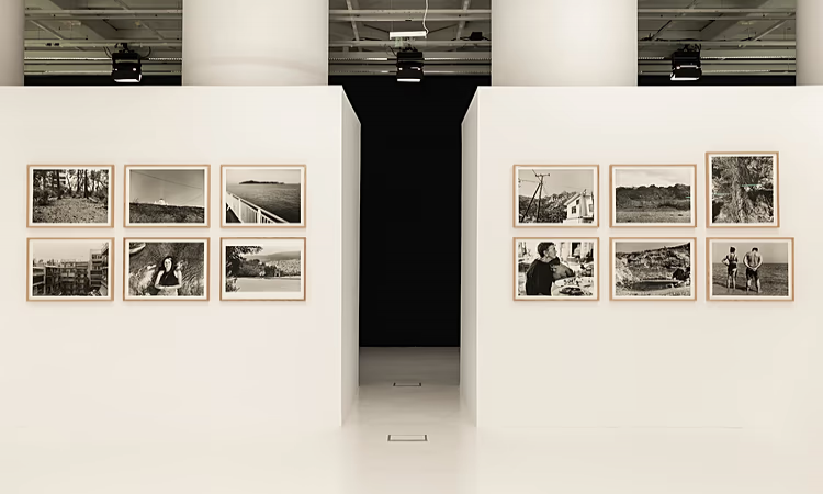 Yorgos Lanthimos’un 182 fotoğraftan oluşan sergisi Atina’da açıldı