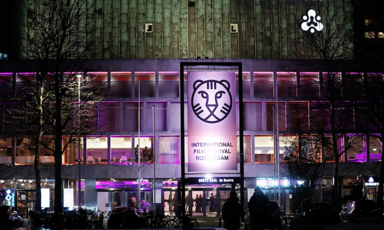 Rotterdam Film Festivali: şehir sinemaya dönüşüyor