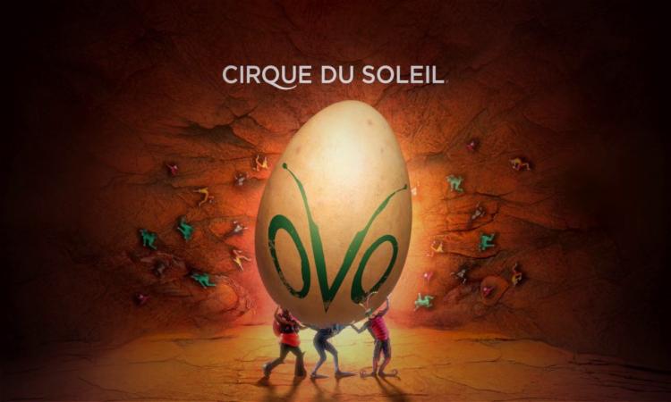 Cirque du Soleil 10 yıl sonra “OVO” ile İstanbul’da